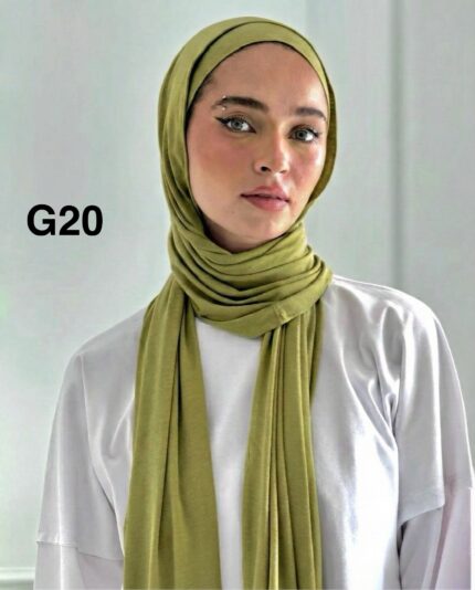 طرحه جيل بالبندانهG20